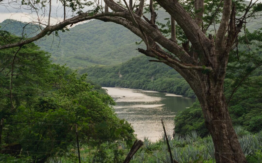 Undeveloped shoreline and quiet water at Lake Aguamilpa in Nayarit.